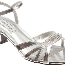 Touch Ups Dakota Silver Metallic