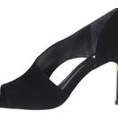 Incaltaminte Femei Cole Haan Viveca Black Suede