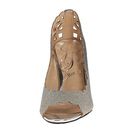 Incaltaminte Femei J Renee Bailee Pewter