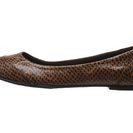 Incaltaminte Femei Rocket Dog Rynna Brown Safari Snake