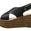 Incaltaminte Femei Dolce Vita Maize Black Leather