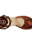 Incaltaminte Femei Ash Winona RustySigaroWhipsBaby Silk