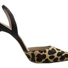 Incaltaminte Femei Steve Madden Paizle-L Leopard