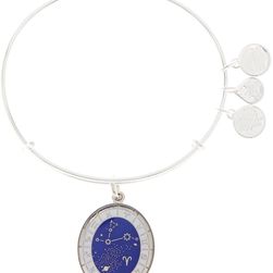 Alex and Ani Constellation Bangle Bracelet SHINY SILVER FINISH