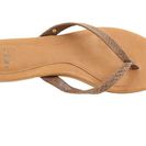 Incaltaminte Femei UGG Allaria II Mar Wet Sand Suede