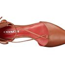 Incaltaminte Femei COACH Johnson Saddle