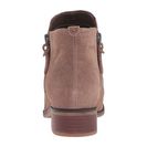 Incaltaminte Femei Steve Madden Arper Taupe Suede