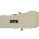 Incaltaminte Femei Sperry Top-Sider Seacoast Fish Circle Coral