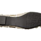 Incaltaminte Femei J Renee Edie Platinum