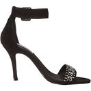 Incaltaminte Femei Steve Madden Canastel Black Suede