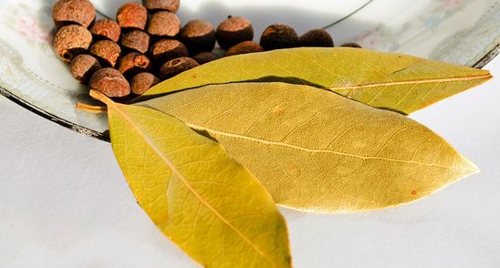 Scapi de stres imediat cu acest remediu natural! Toata lumea il are in casa