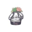 Incaltaminte Femei Stuart Weitzman Jellybow Clear Jelly