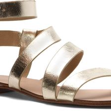 Splendid Caracas Gold