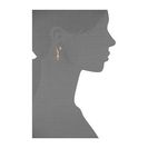 Bijuterii Femei Rebecca Minkoff Triangle Drop Front to Back Earrings Gold TonedCrystal