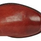 Incaltaminte Femei Frye Anna Gore Tall Whiskey Buffalo Leather