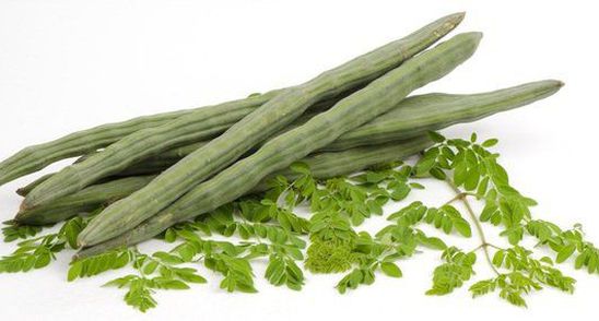 Asta este copacul miraculos care vindeca 300 de boli, inclusiv tumorile si diabetul! 