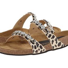 Incaltaminte Femei Athena Alexander Pamela Leopard