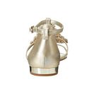 Incaltaminte Femei Sam Edelman Dillan Jute Dreamy Metallic Leather
