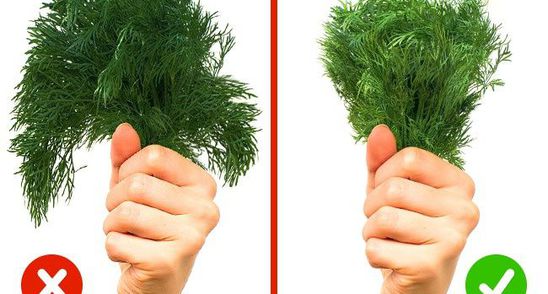 Cum sa-ti dai seama daca verdeata pe care ai cumparat-o pentru ciorba este veche si plina de pesticide