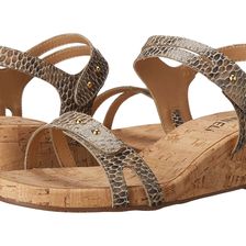 Vaneli Kinna Taupe Per Print/Gold Trims