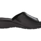 Incaltaminte Femei ECCO Felicia Slide Black