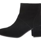 Incaltaminte Femei Steve Madden Halford Black Suede