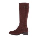 Incaltaminte Femei Cole Haan Putnam Waterproof Boot Extended Calf Chestnut Suede