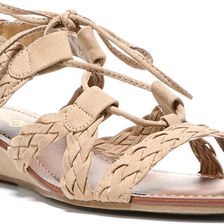 CARLOS by Carlos Santana Kelly Brulee