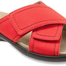 Trotters Getty Red Canvas