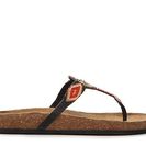 Incaltaminte Femei Coconuts By Matisse Wild Child Flat Sandal Multicolor