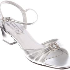 Touch Ups Shala Silver Metallic