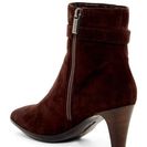 Incaltaminte Femei Aquatalia Danele Weatherproof Almond Toe Boot ESPRESSO